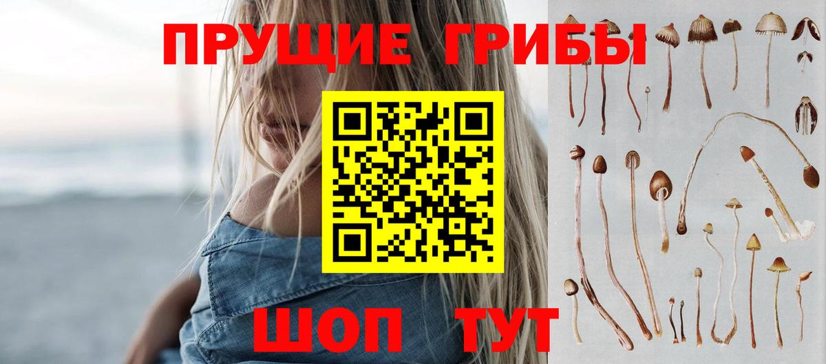Галлюциногенные грибы Cubensis  Вход с VPN  Прокопьевск 